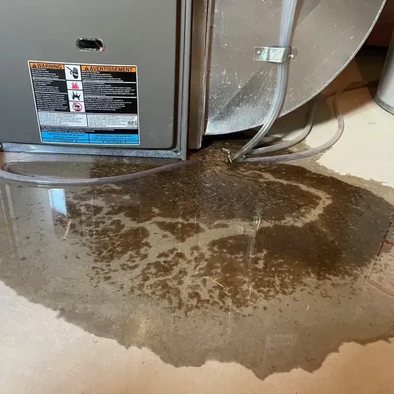 Appliance Leak Cleanup in Cowley County, KS